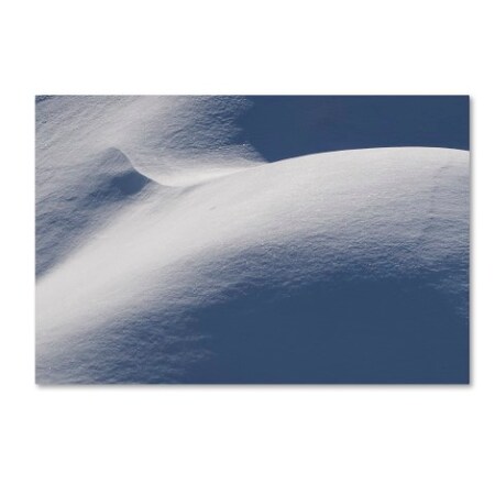 Trademark Fine Art Kurt Shaffer 'Abstract Snow Mound 3' Canvas Art, 16x24 KS01082-C1624GG